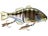 HL Bluegill