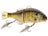RT Bluegill