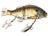 RT Ghost Gill