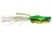 Lime Frog