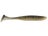 Golden Shad