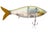 Ghost Gizzard Shad