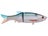 Threadfin Shad