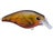 Brown Craw