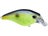 Chartreuse Black Back