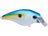 Sexy Shad