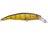 Yellow Perch