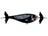 Loon