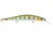 Yellow Perch