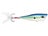 Hot Blue Shad