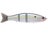 Threadfin Shad