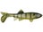 Clear Bream