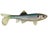 Ghost Minnow