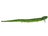 Green Snake
