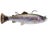 Trout