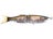 Ghost Trout