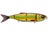 Golden Shiner