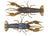 Magic Craw