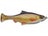 Golden Shiner