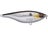 Chrome Sardine