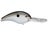 Gizzard Shad