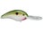 Tennessee Shad