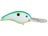 Citrus Shad