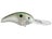 Green Gizzard Shad