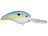 Sexy Shad