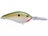 Tennessee Shad