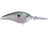 Green Gizzard Shad
