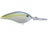 Sexy Blue Back Herring