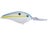 Sexy Shad
