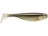 Live Minnow