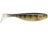 Live Yellow Perch