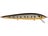 Sunbeam Golden Bass