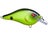 Chartreuse Black Back