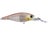 Ghost Smelt