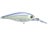 Ghost Sexy Shad