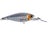 Prism Ghost Shad