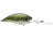 Baby Bass