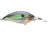 Prism Sexy Shad