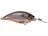 Prism Tennessee Shad