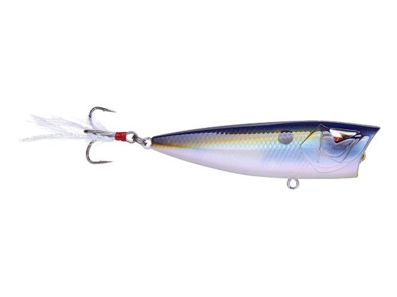 Ark Fishing Baits - Tackle Warehouse