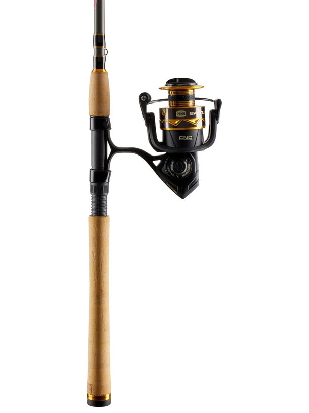 Penn Battle IV Spinning 2-Piece Combo