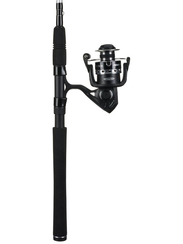 Penn Pursuit IV 2-Piece Spinning Combo