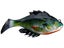 10,000 Fish Head Hunter Swimbait