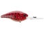 Crimson Craw