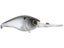 Ghost Pro Shad