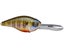 4K Bluegill